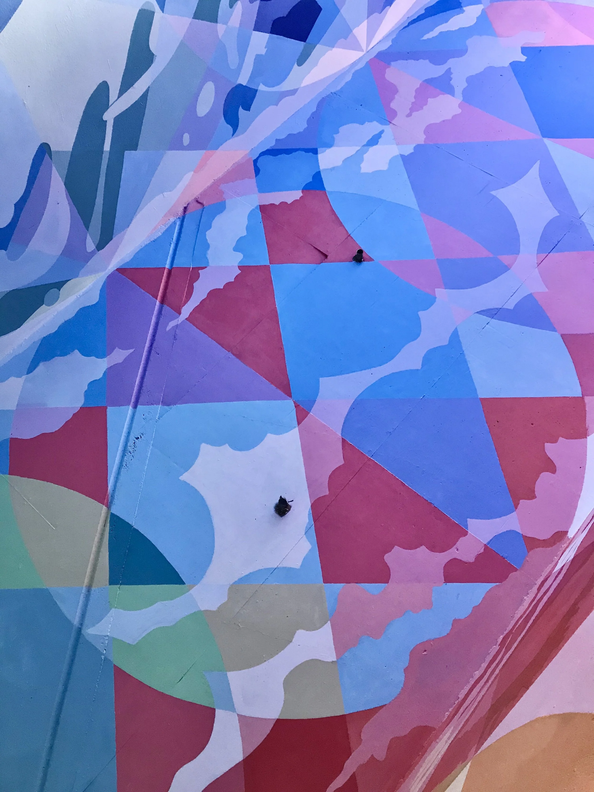 FullSizeRender (2).jpeg