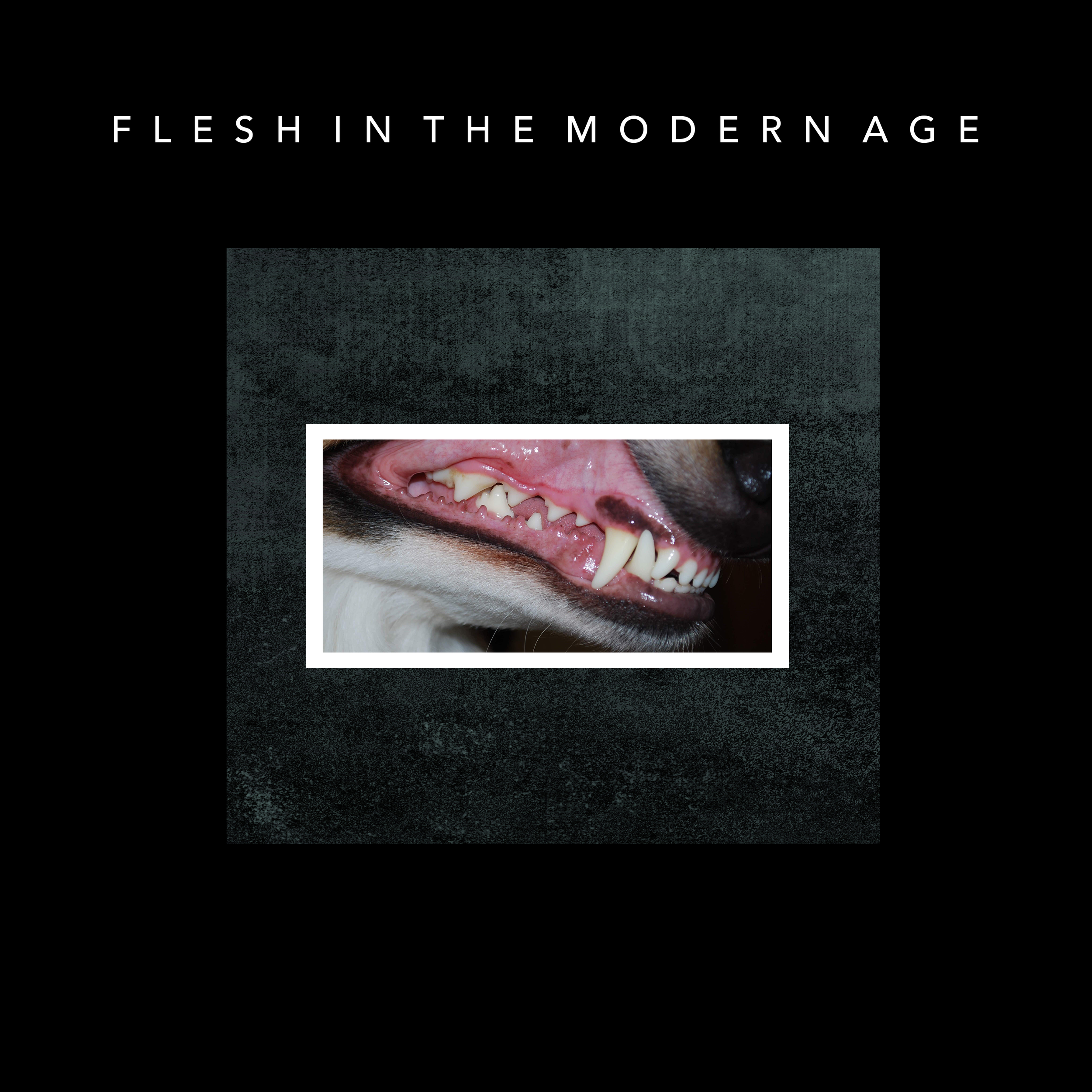 FLESH MUSIC COVER.PNG