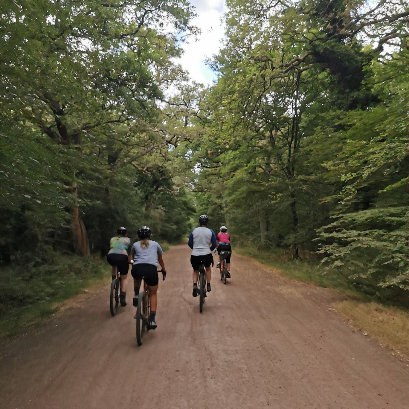 Dreamy snaps from Monday night gravel club 🌳 got us looking forward to Monday 
.

Image description: 
1) Back view of 4 cyclists riding along a smooth dirt road in the forest. They are all wearing black shorts and loose-fitting shirts. 

2) A cyclis