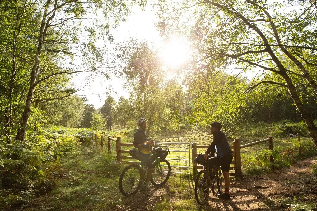 komoot forest chat.jpg