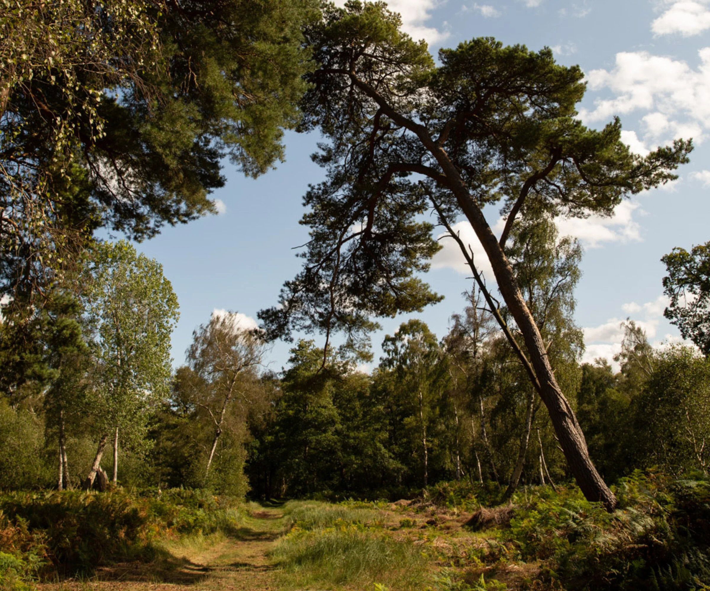 komoot small web images3.jpg