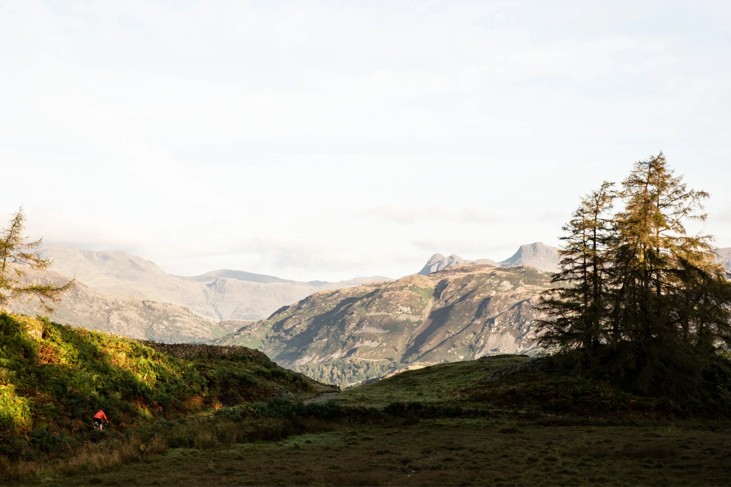 komoot online cover 1.jpg