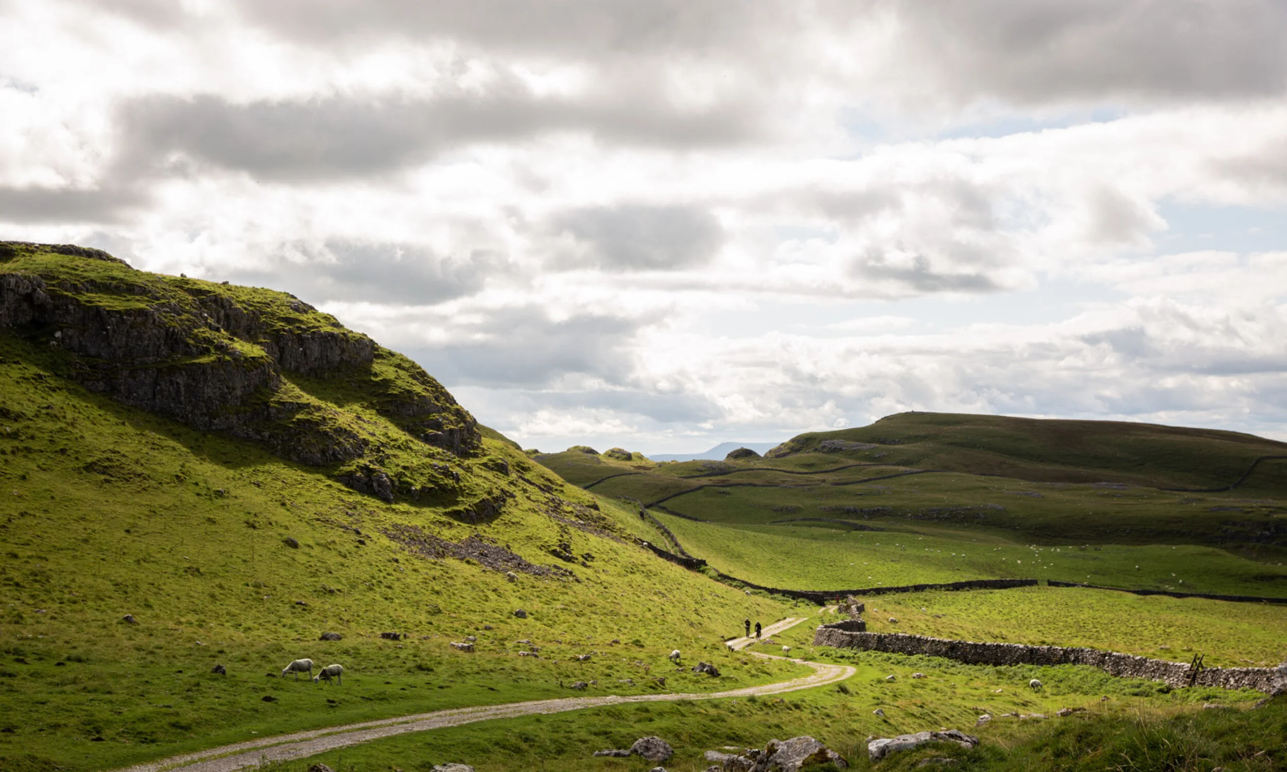 landscape cover dales.jpg