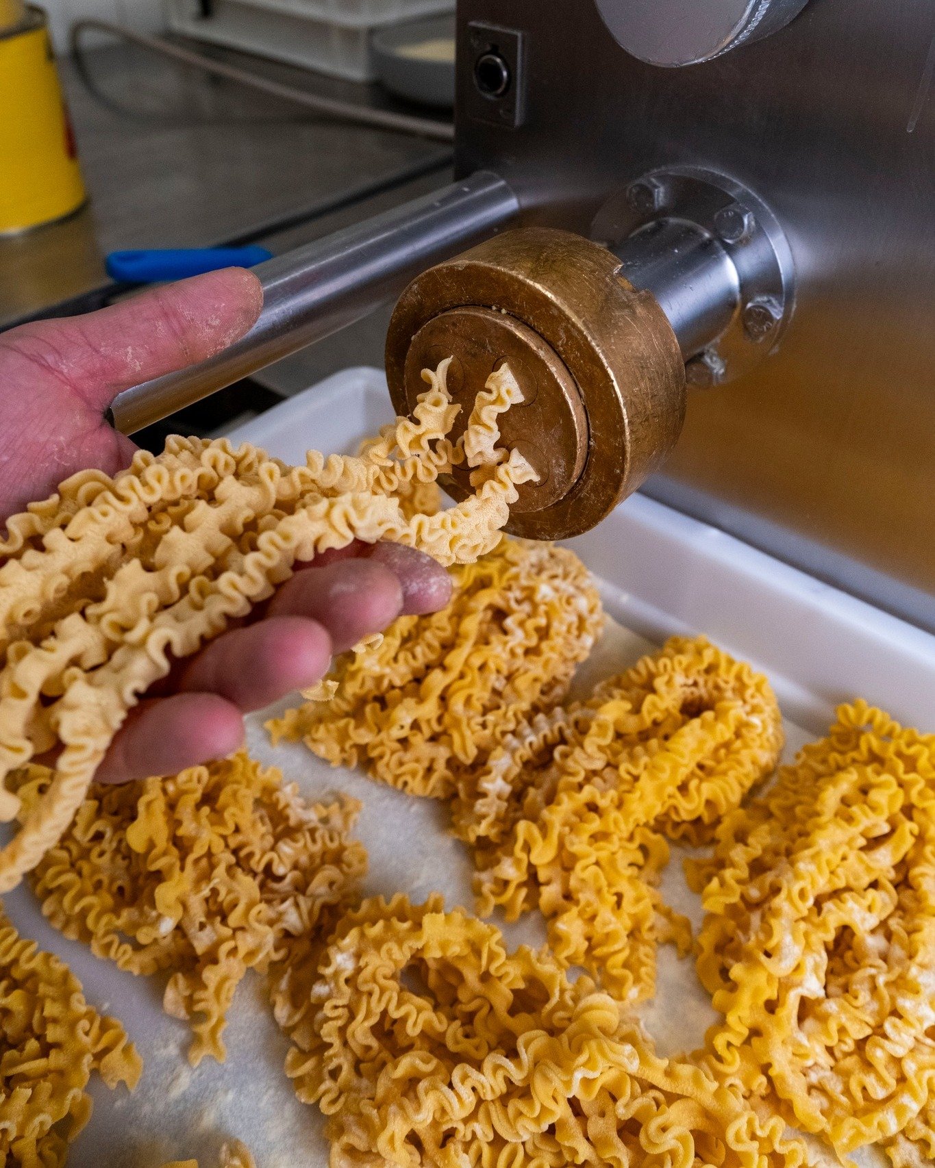 Fresh mafaldine, those perfect ribbon edges ready to catch every bit of sauce. 🍝🤌✨

📍46 Brewer Street, London, United Kingdom W1F 9UJ
📞020 7096 2096

.
.

#foodie #londonfoodie #italianfood #pastalovers #mafaldine