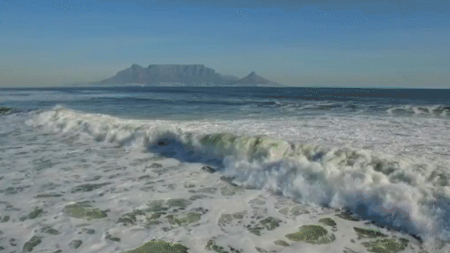 Explore Africa Cape Town