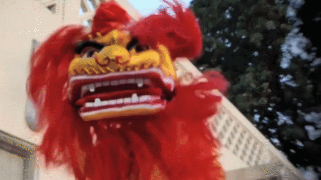 Spring Festival in Cairo