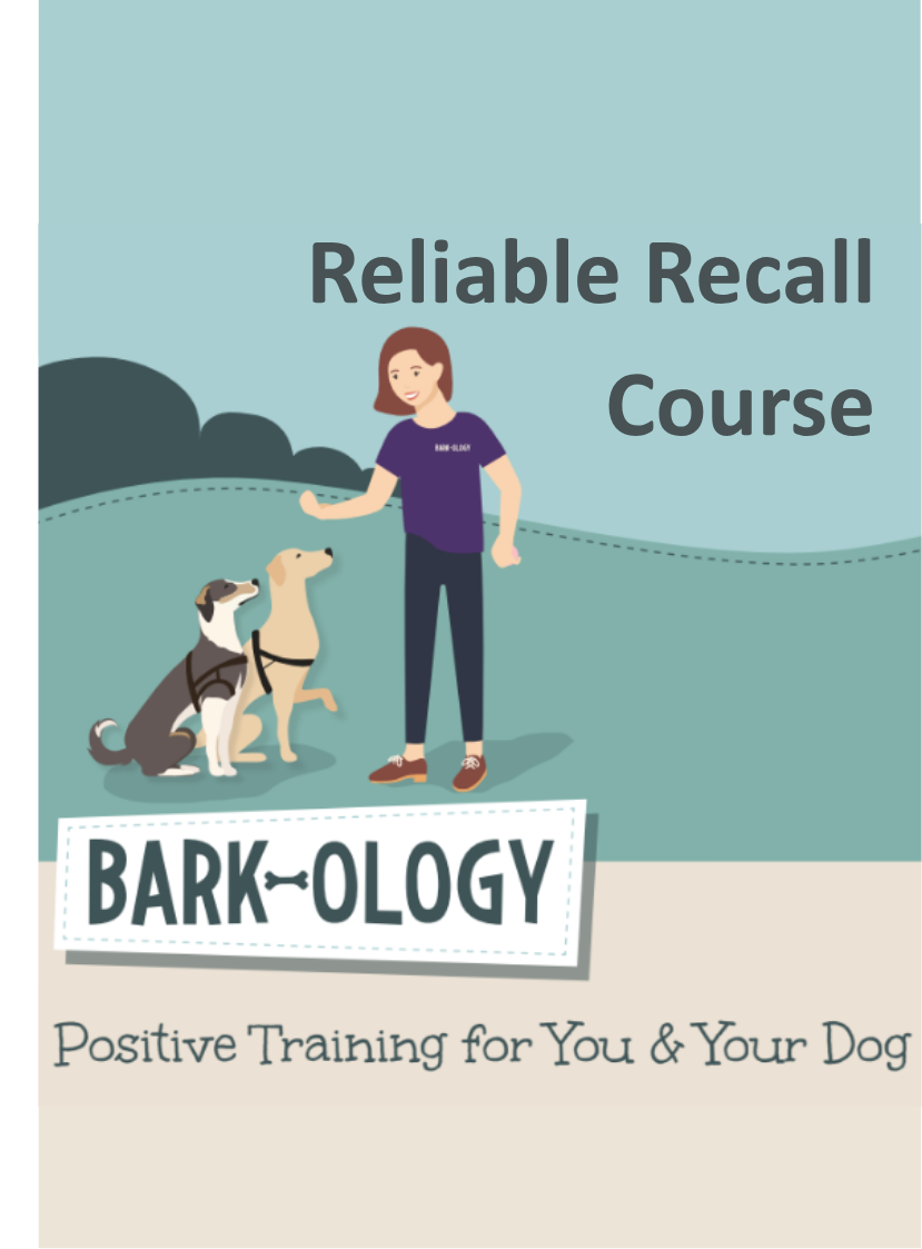 Reliable Recall Course