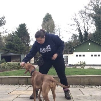 What does the M25 and driving have to do with Dog Training?