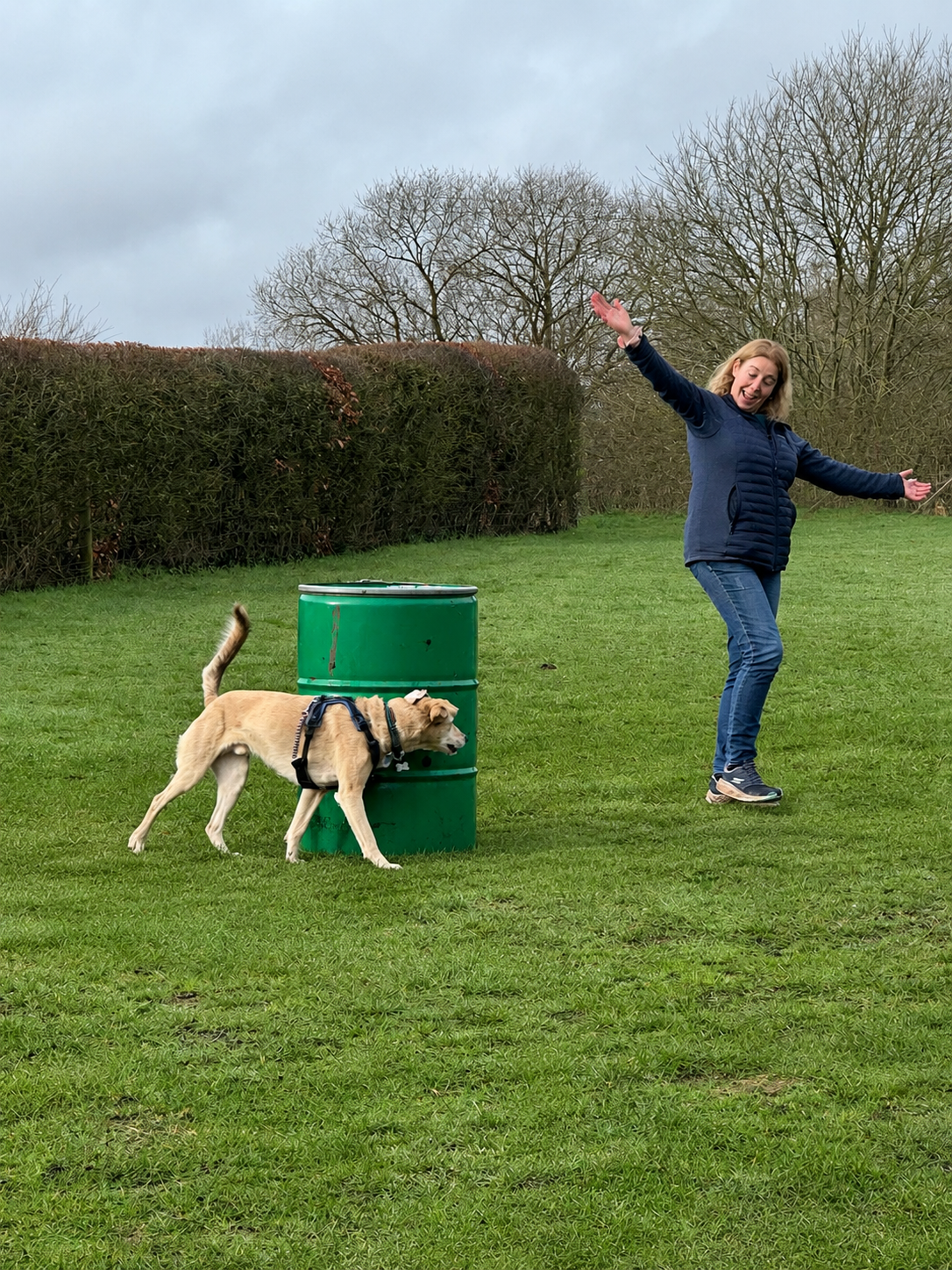 Rescue Dogs Series - The First Five Months After Adoption: Building a Life Together