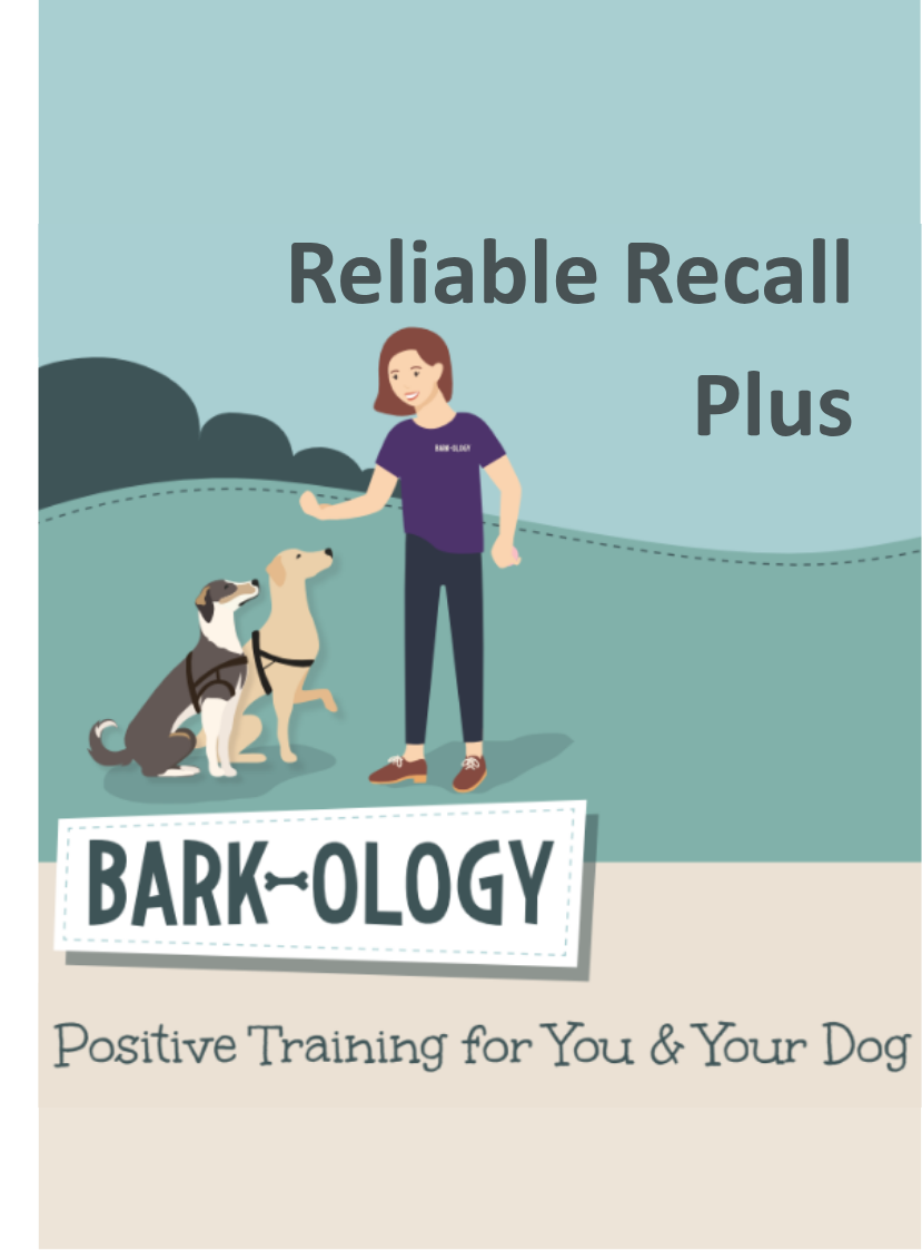 Reliable Recall Course plus.png