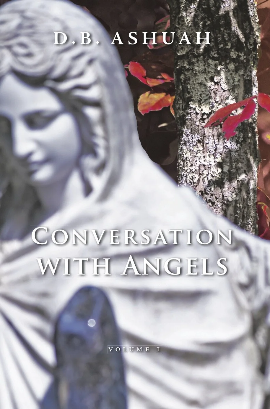 Conversation with Angels_vol 1 cov d.jpg