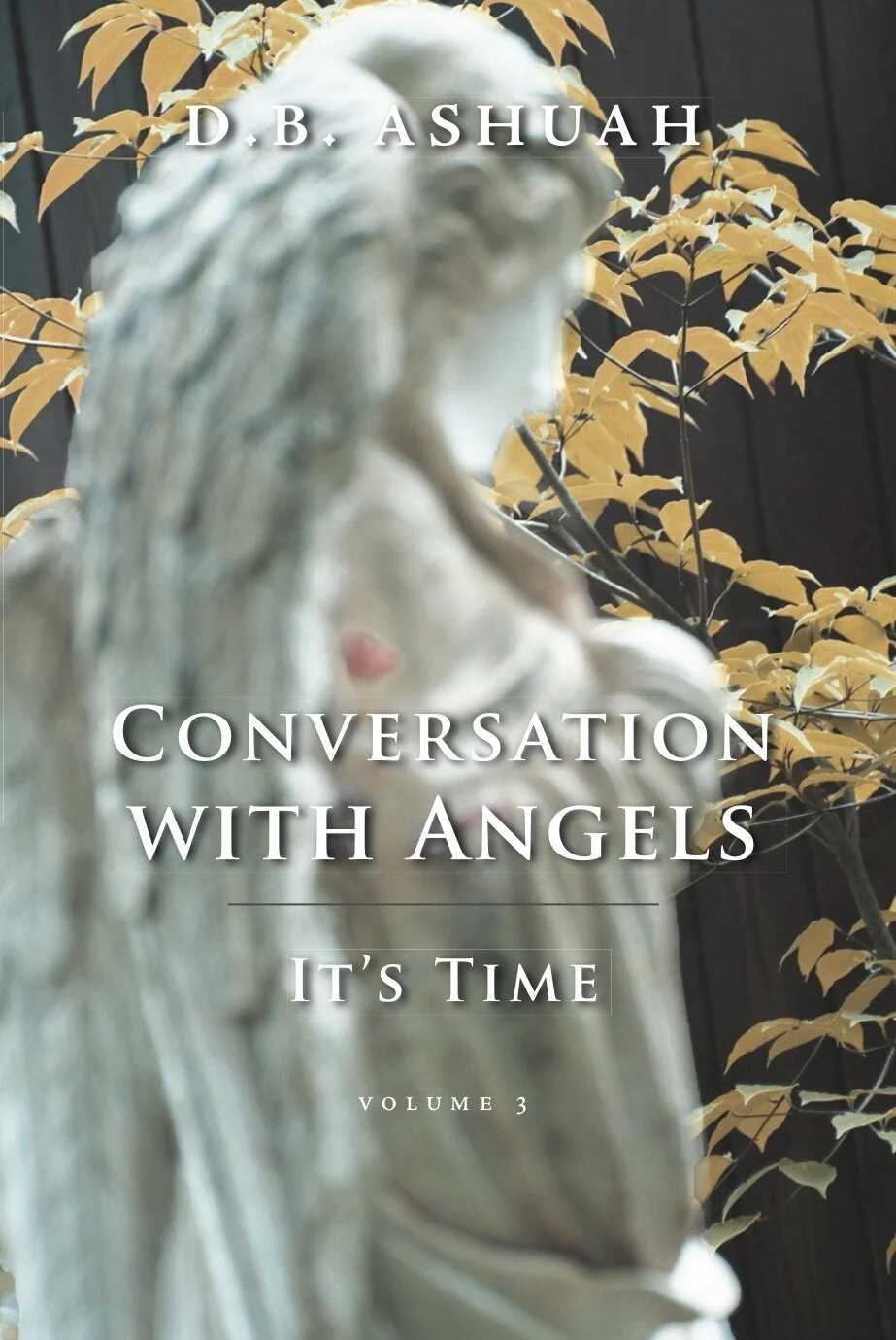 Conversation with Angels_vol 3 cov. a.jpg