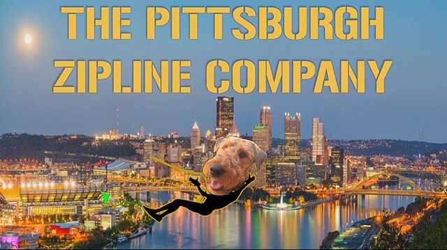 Have you ever seen a dog zip before?! #pghzipco is just for humans but if you want to see what your pooch looks like flying high over the city of Pittsburgh just follow us and send us a photo! #pittsburgh #zipline #airedaleterrier #airedalesofinstagr