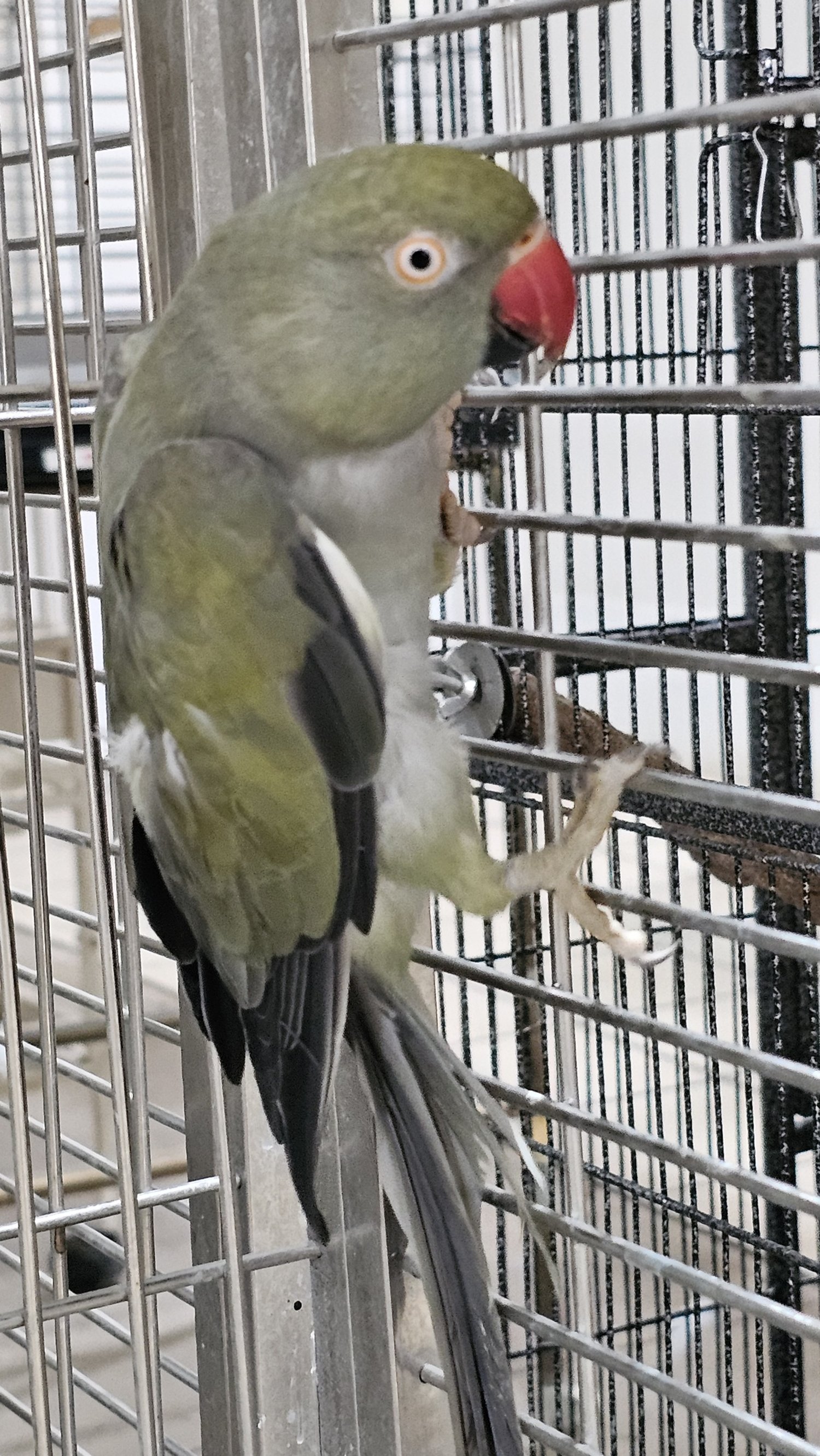 processed_20250703_162326.jpg