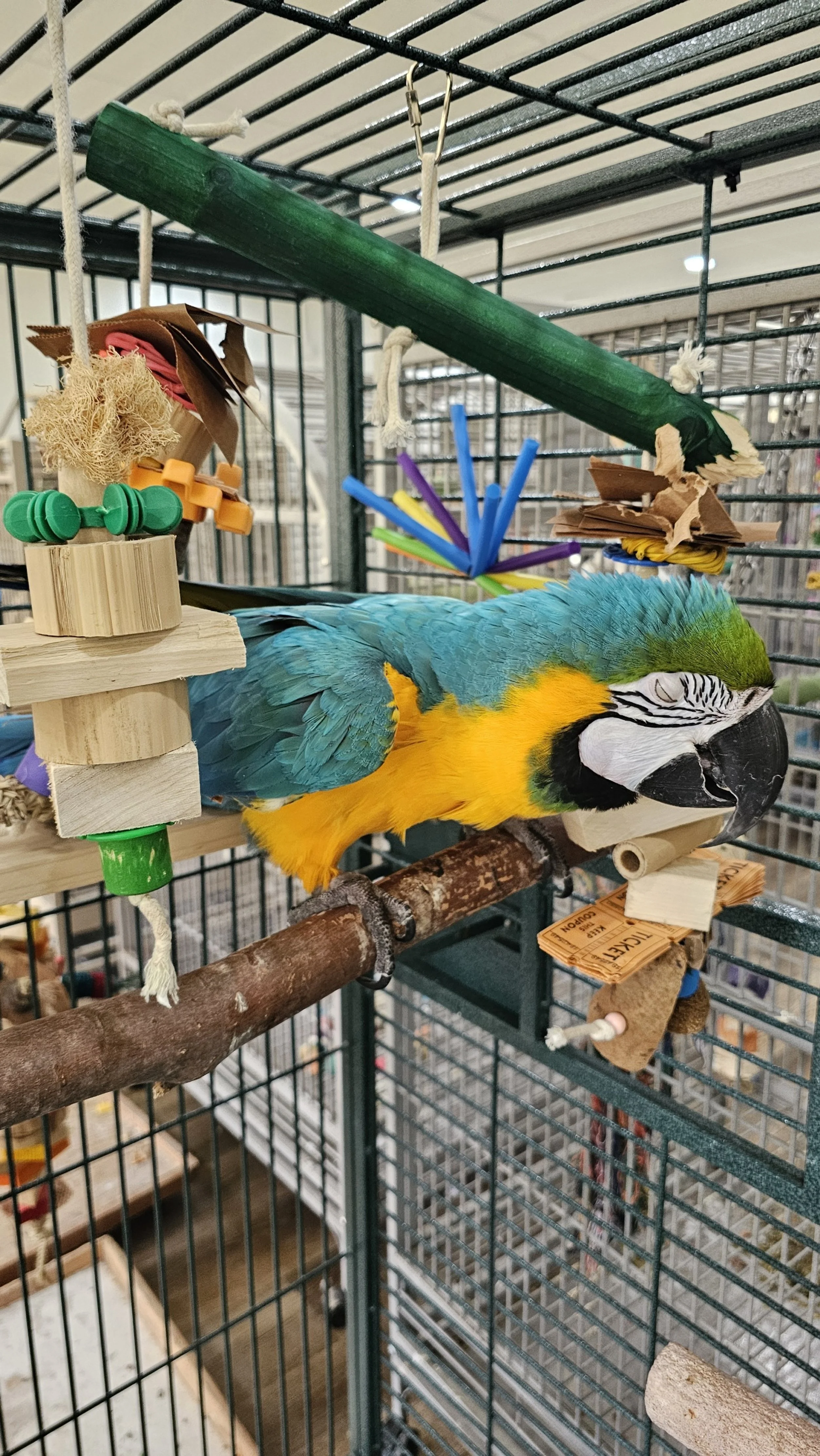 processed_20250829_143426.jpg