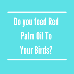 Red Palm Oil? 
