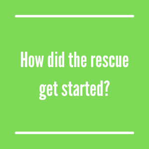 How did the rescue get started?