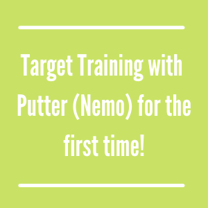 Target Training with Nemo