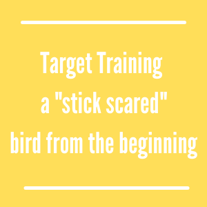 Target Training Stick Scared Birds