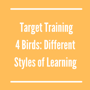 Target Training with 4 Birds