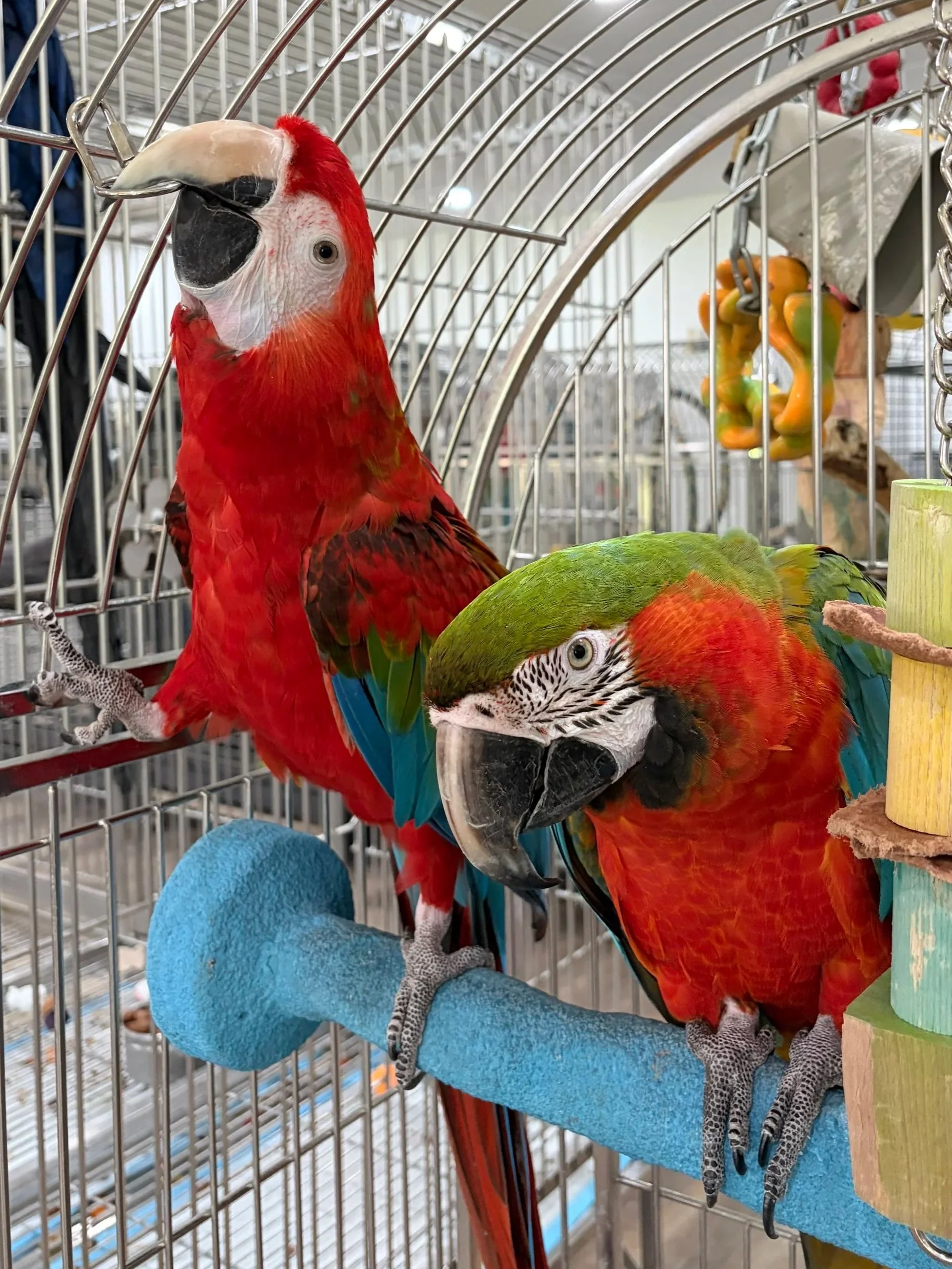 Quinn & Gisela