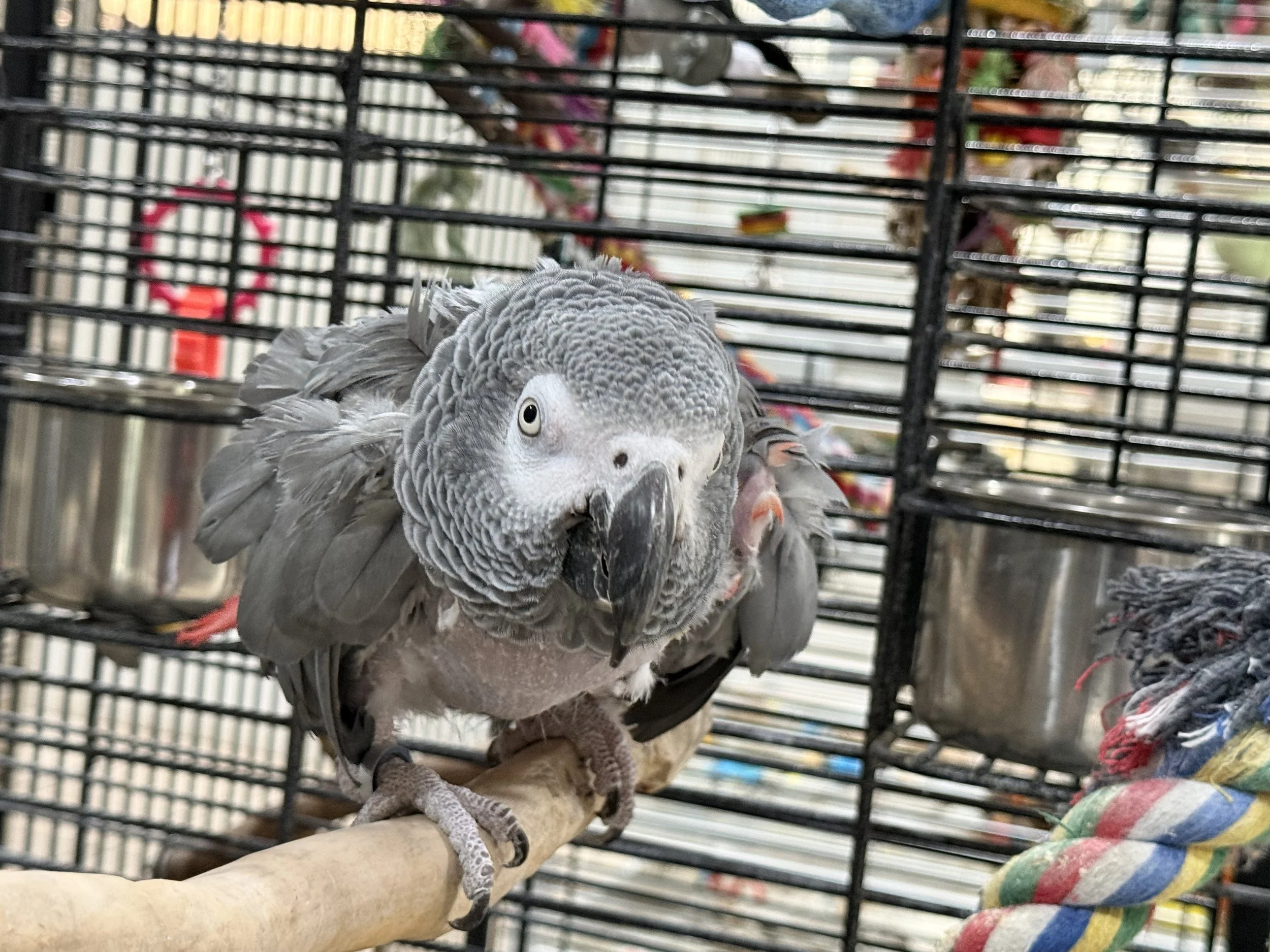 IMG_9465.jpg