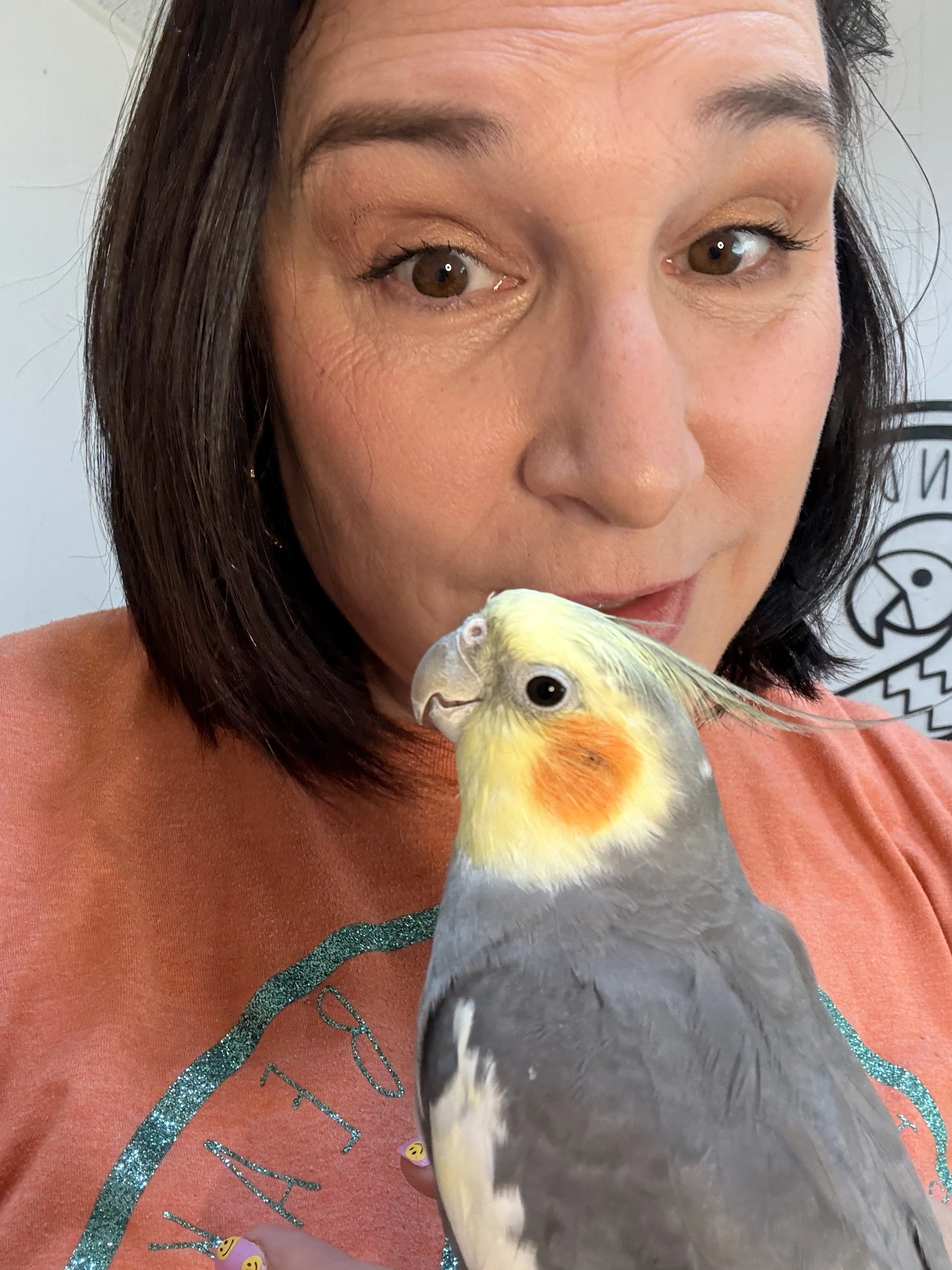 Anakin, Cockatiel