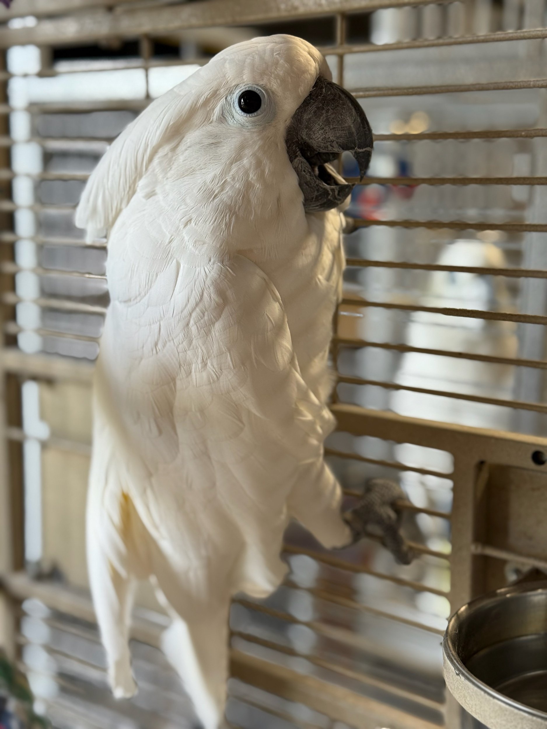 processed_IMG_9241.jpg