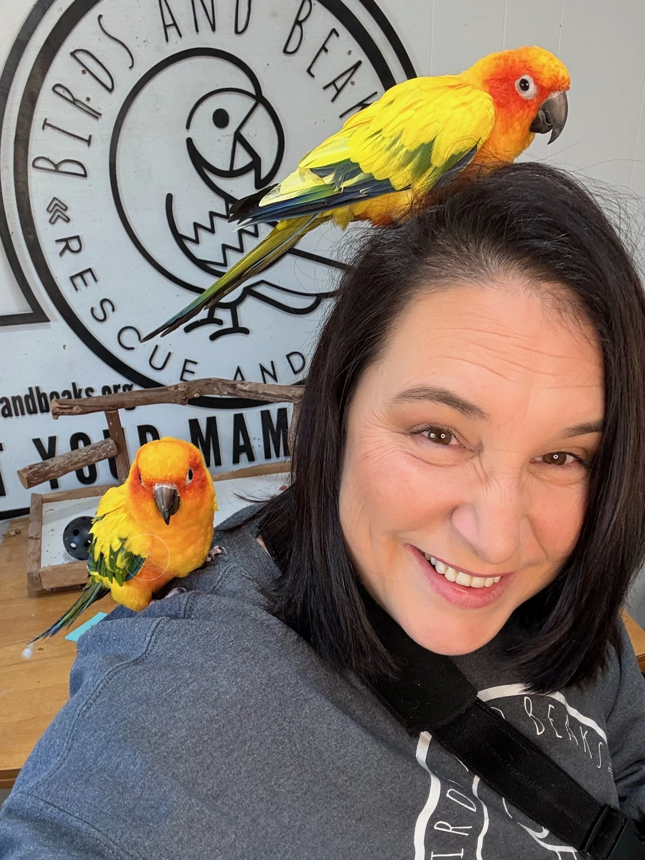 Jake & Karen, Bonded Sun Conures