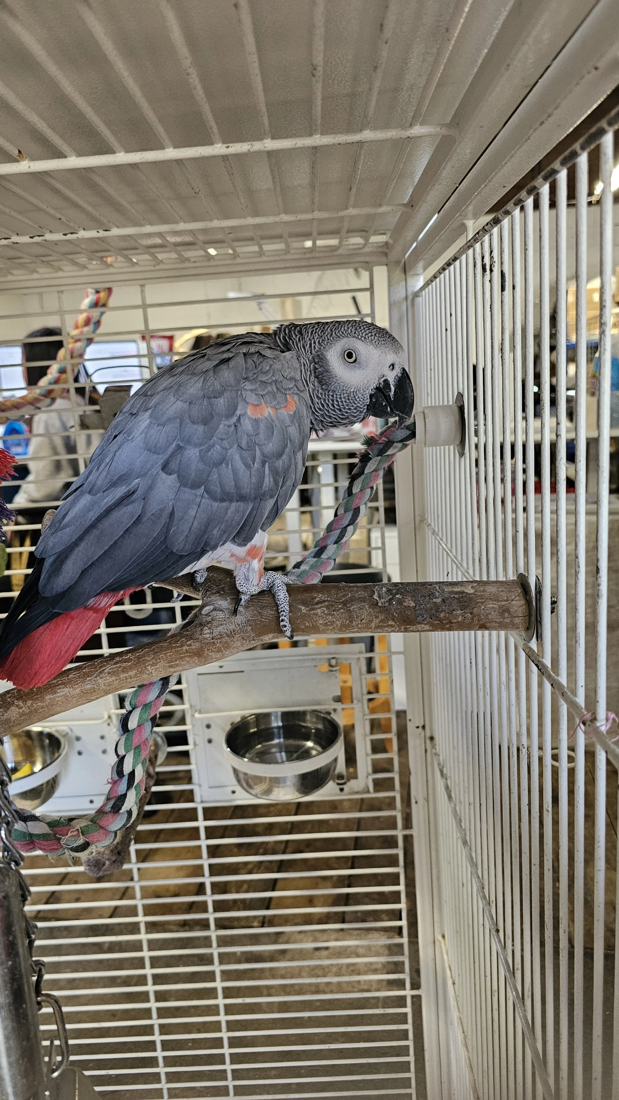 processed_20250927_122419.jpg