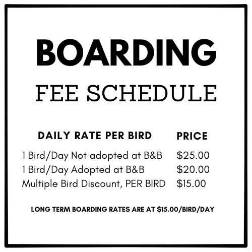 Boarding — Birds and Beaks Rescue and Rehab