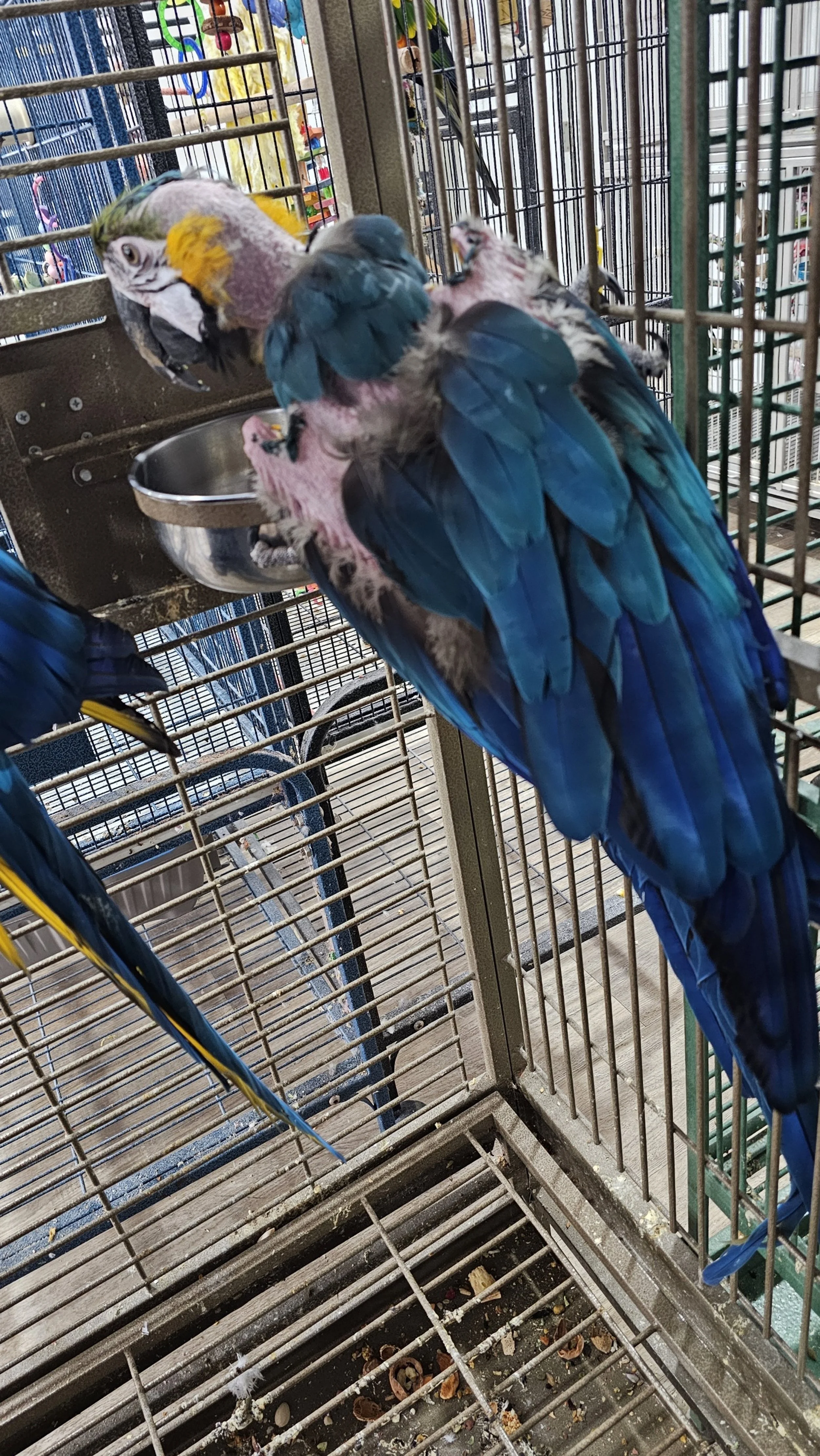 processed_20251210_110221.jpg