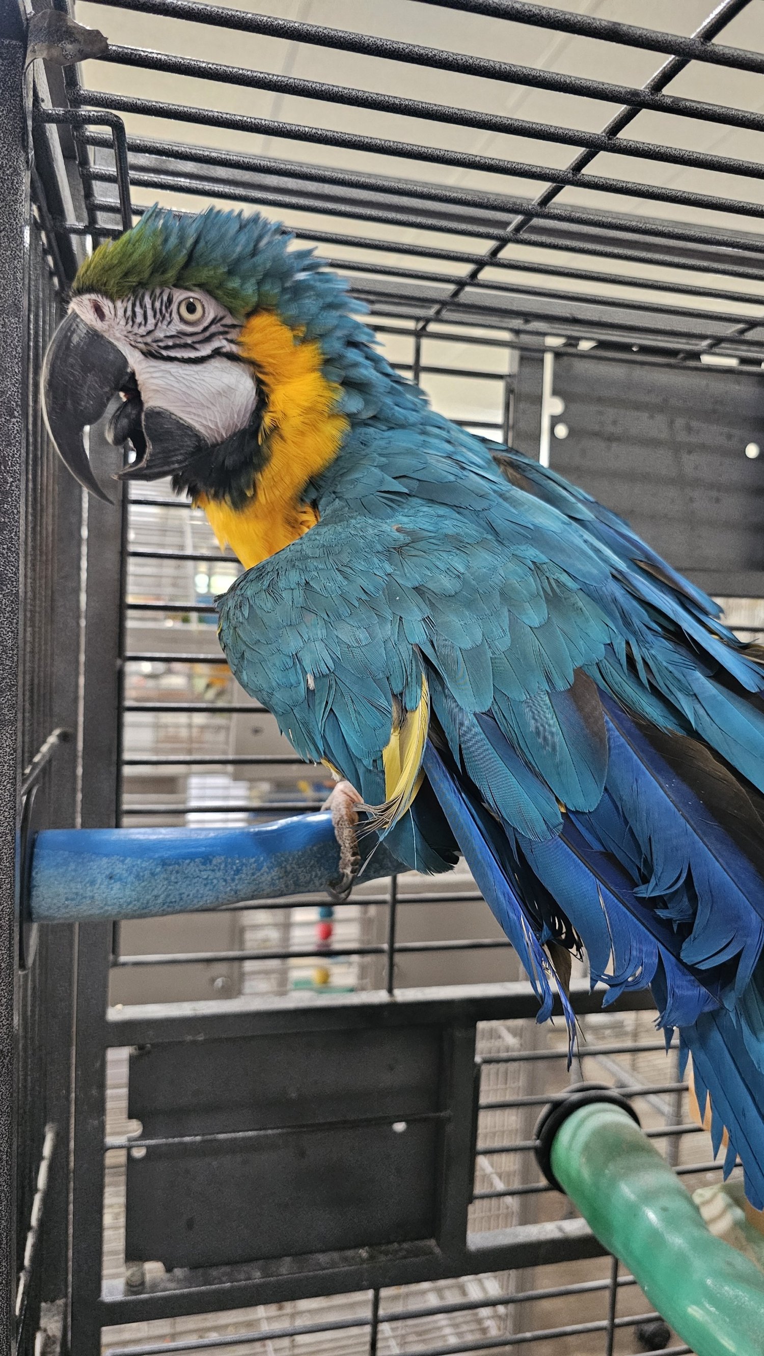 processed_20250703_161221.jpg