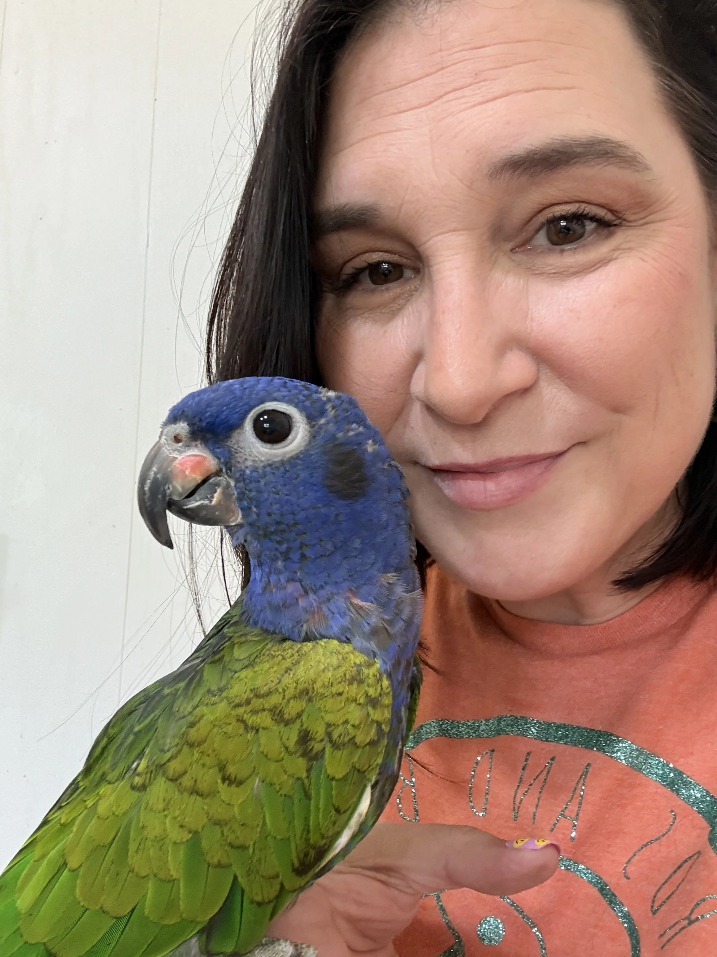 Sadie & Stormy, Blue Headed Pionus