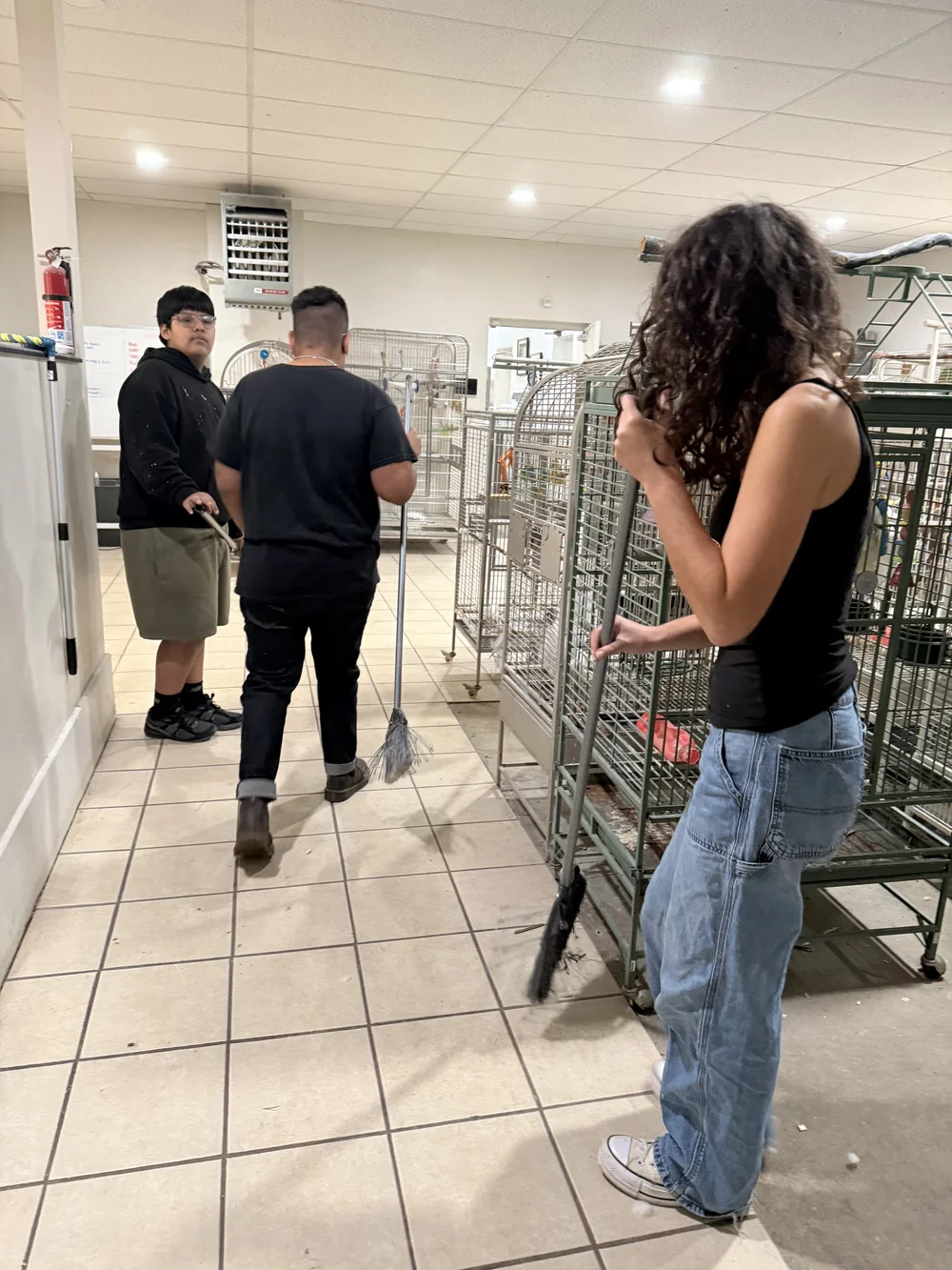 Volunteers working together to clean the rescue
