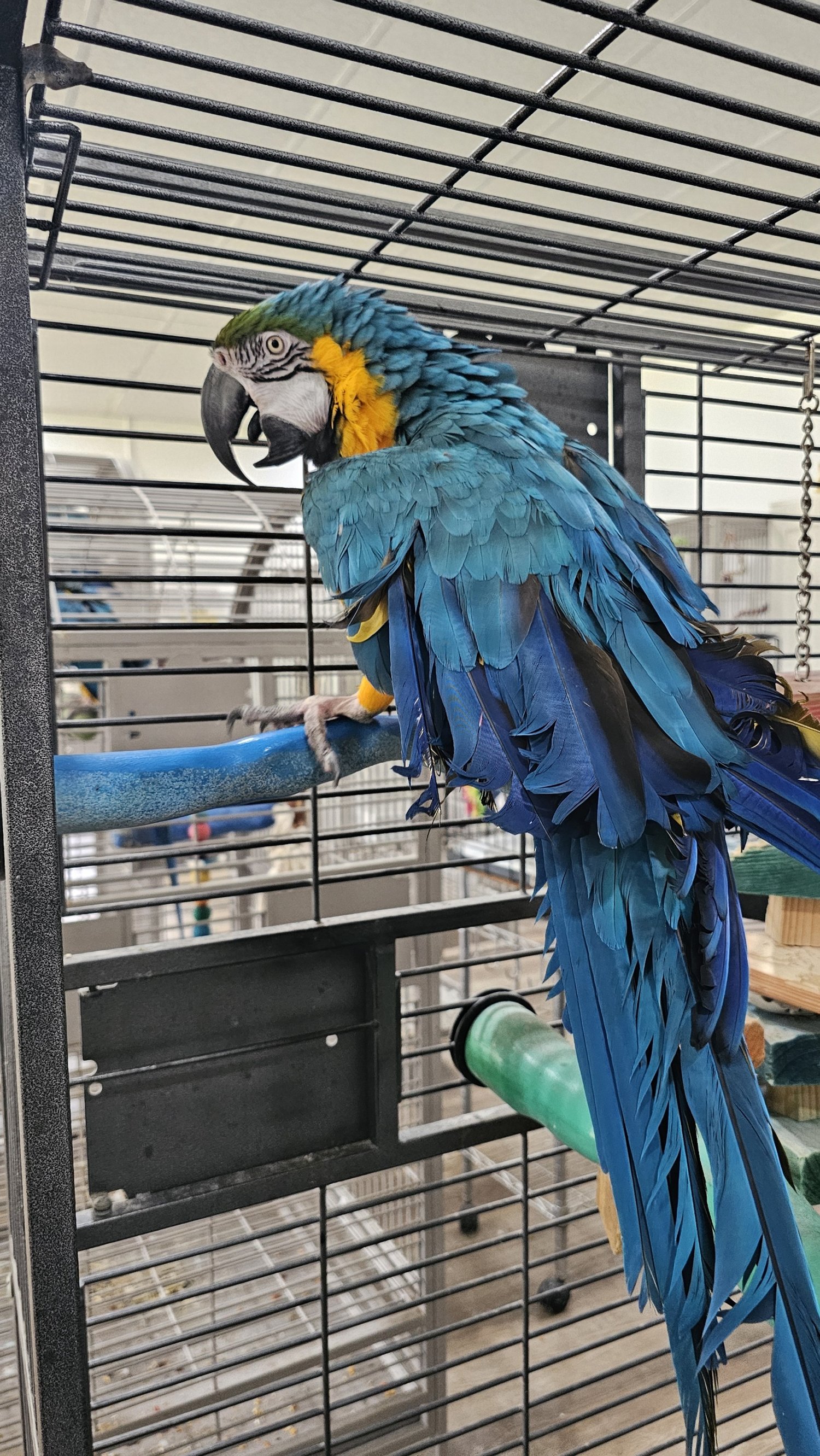 processed_20250703_161224.jpg