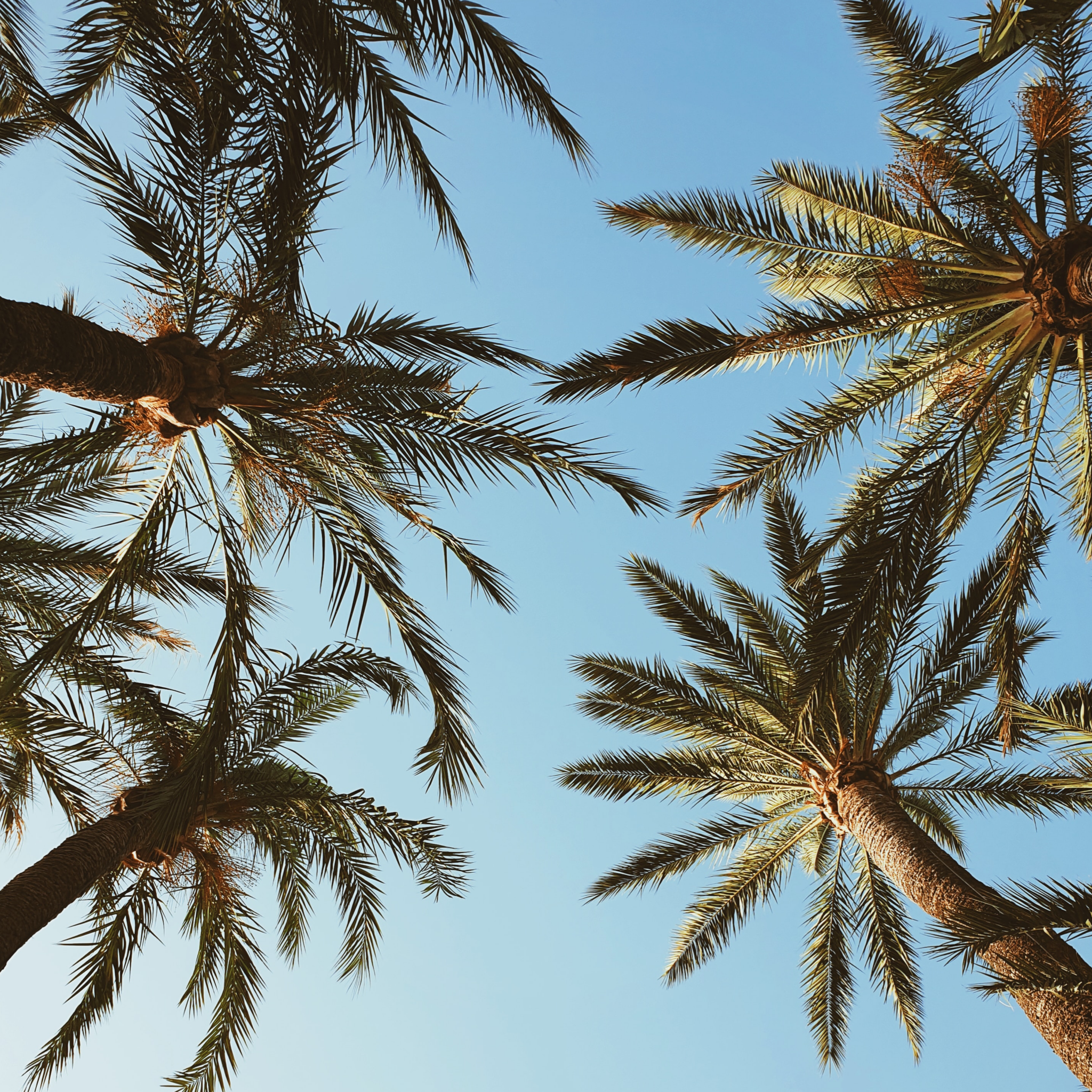 Travel to Hawaii Update 10/16/20