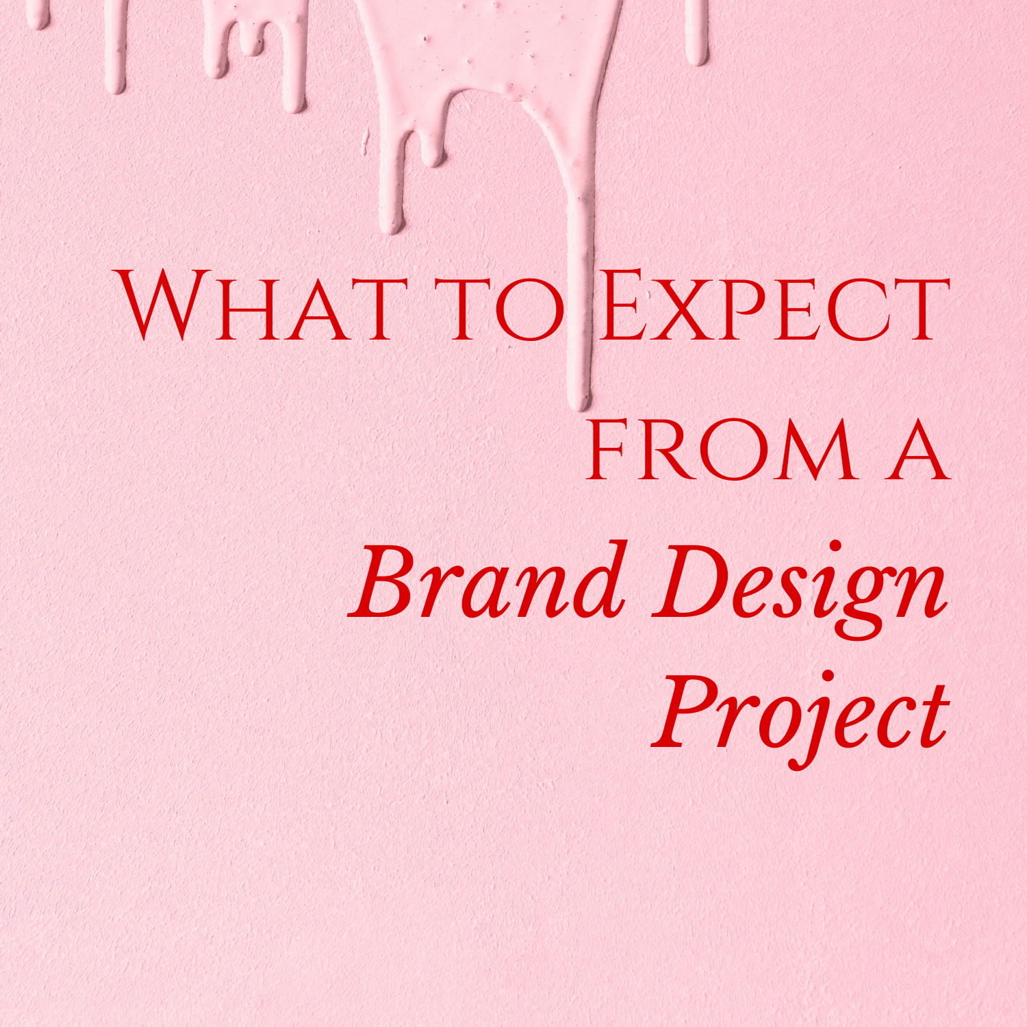 What to Expect From a Brand Design Project
