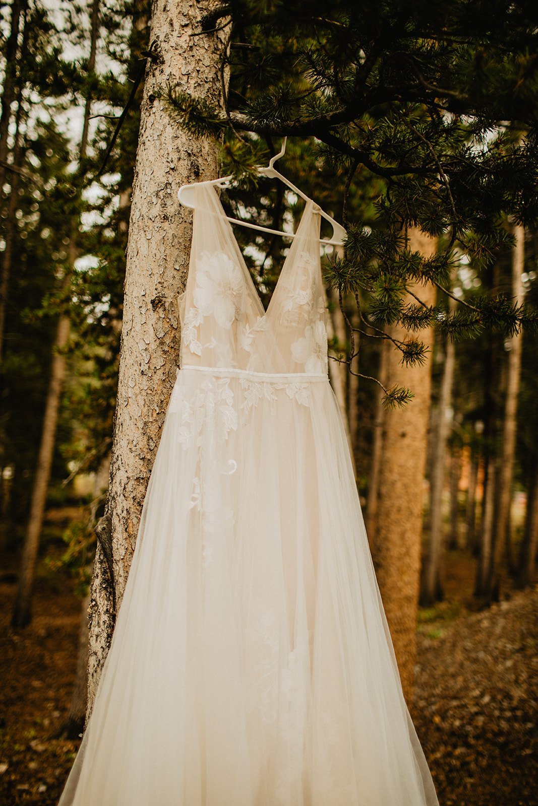  Breckenridge Wedding Dress Photo 
