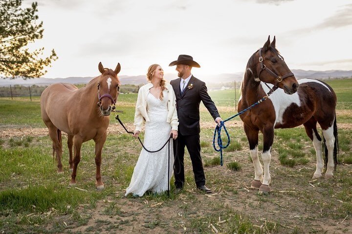 Happy National Pet Day for all those who incorporate their pets into their weddings.
⠀⠀⠀⠀⠀⠀⠀⠀⠀
And while I usually always see dogs at weddings (which I LOVE and will cuddle any chance I get) it&rsquo;s fun to how my couple incorporate their other ani