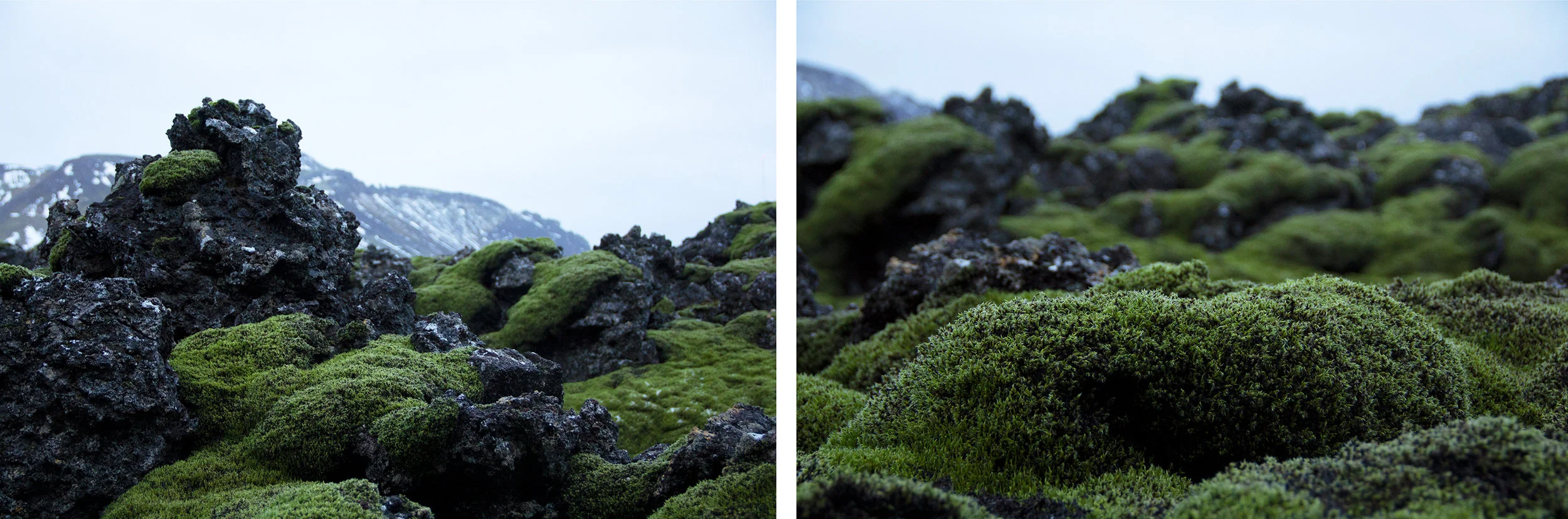 KB_Icelandcrop.jpg