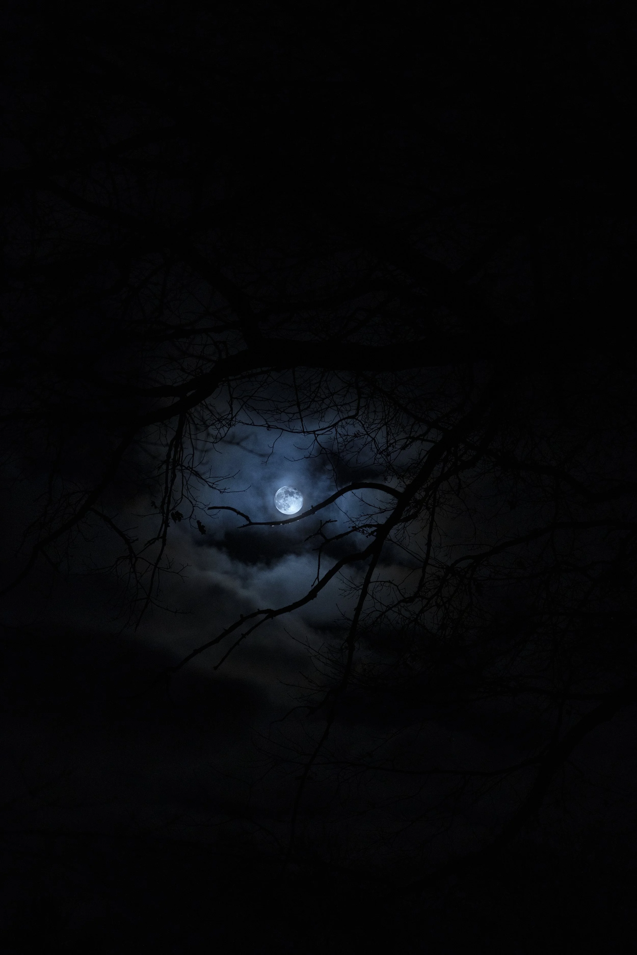 BeautifulMoonflatten copy 2.jpg