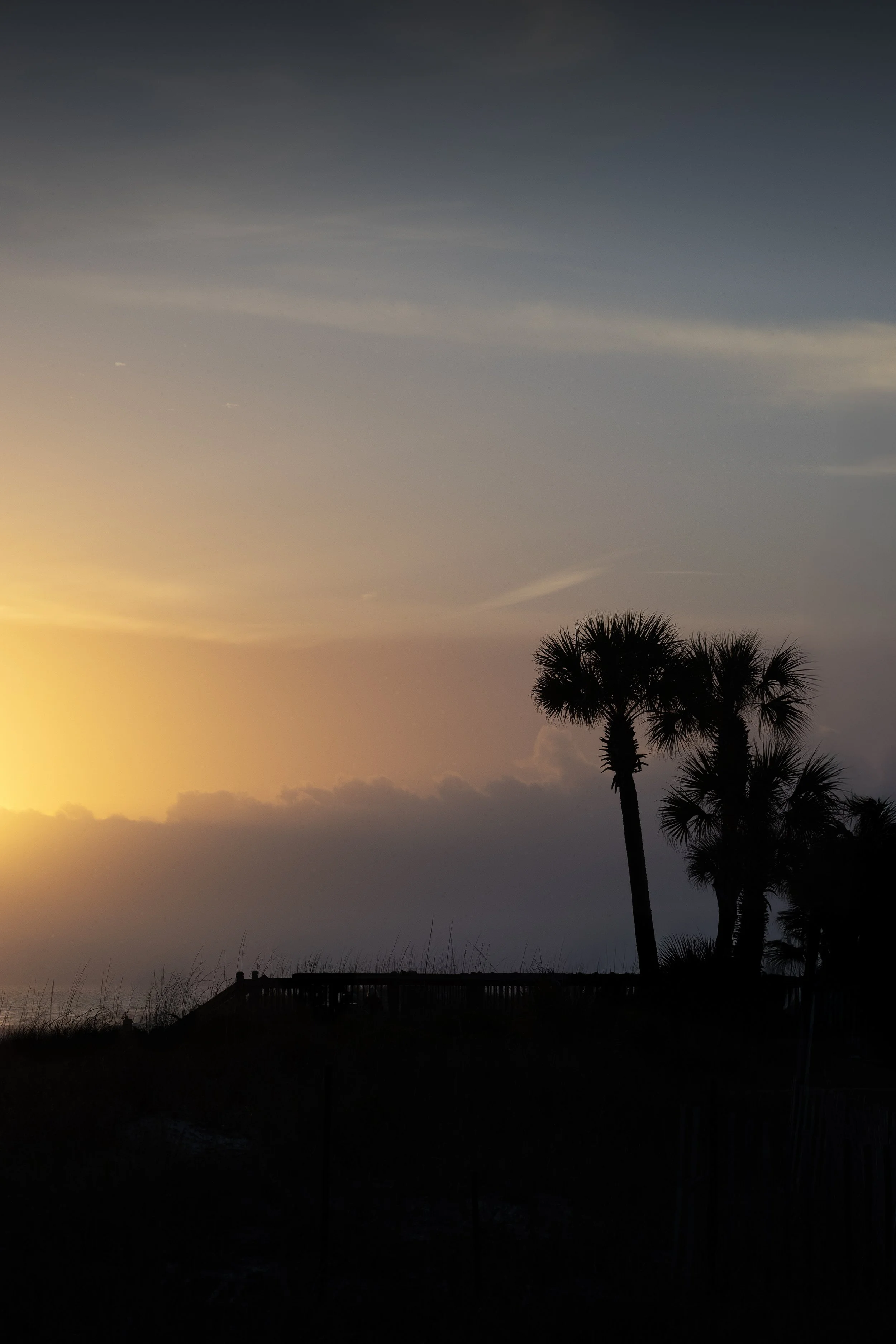 Florida_PalmtreesSunset.jpg
