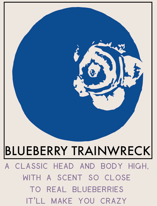 blueberrytrainwreck-01.png