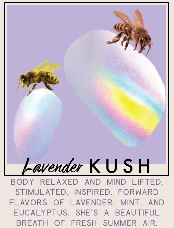 lavenderkush-01.png