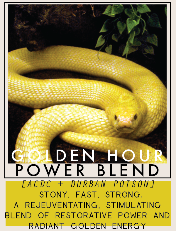 goldenhourpowerblend-01.png