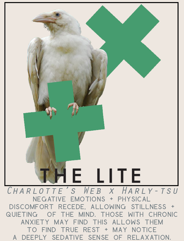 thelite-01.png