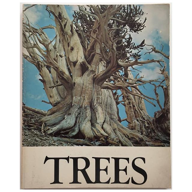 Weed is no doubt the ideal demographic for a good coffee table book. SHOW ME THE TREES
Trees, 1968. #andreasfeininger
#cinx 
#blueberrytrainwreck