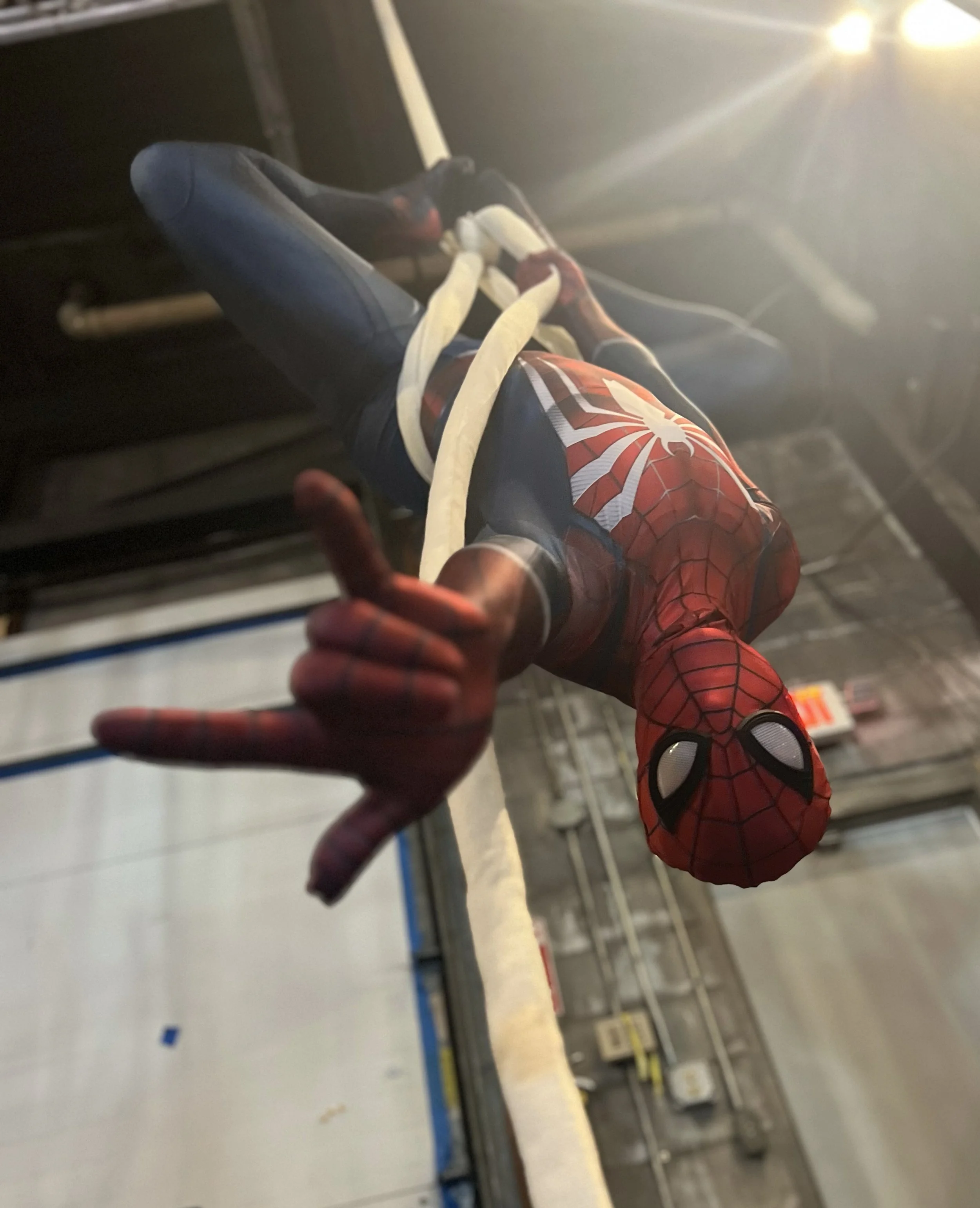 Spider16.jpg