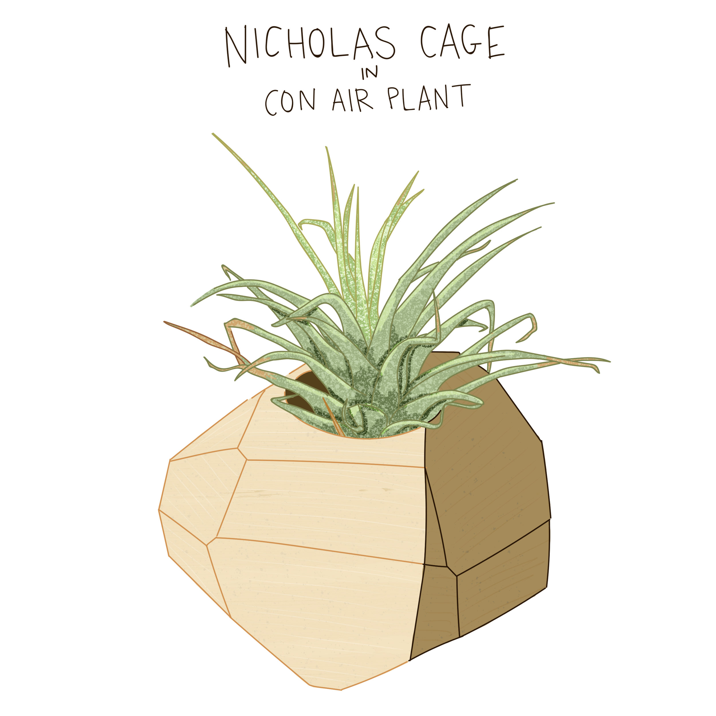 Nicholas Cage.jpg